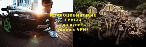 амф Арсеньев