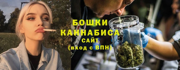 трава Аркадак