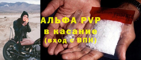 трава Аркадак
